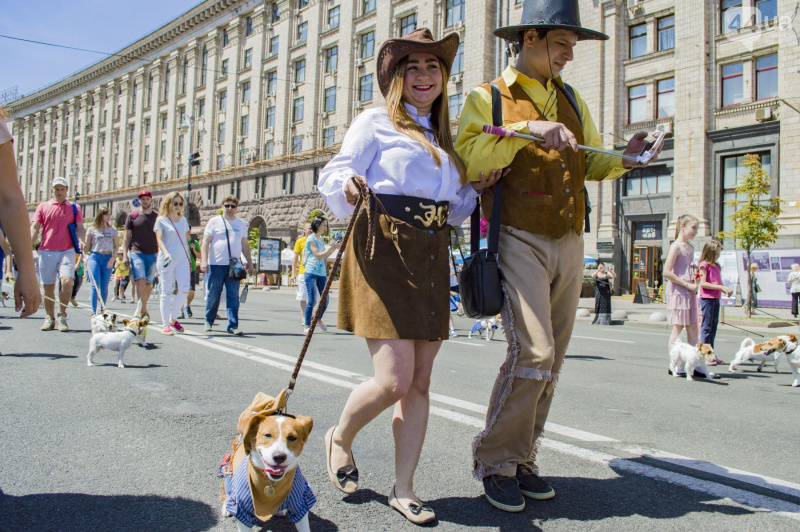У Києві пройшов парад собак породи джек-рассел-тер'єр (фото)