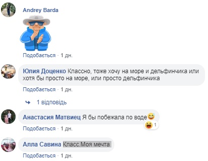 Поплавал среди людей: под Херсоном дельфин порезвился с отдыхающими (видео)
