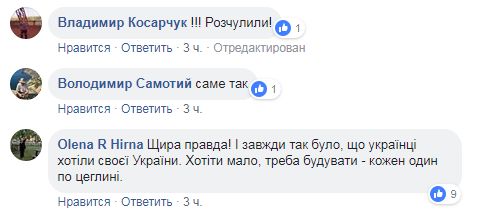 &quot;Кума сказала, що я хунта&quot;: мережу захопила історія патріотки з Криму (фото)