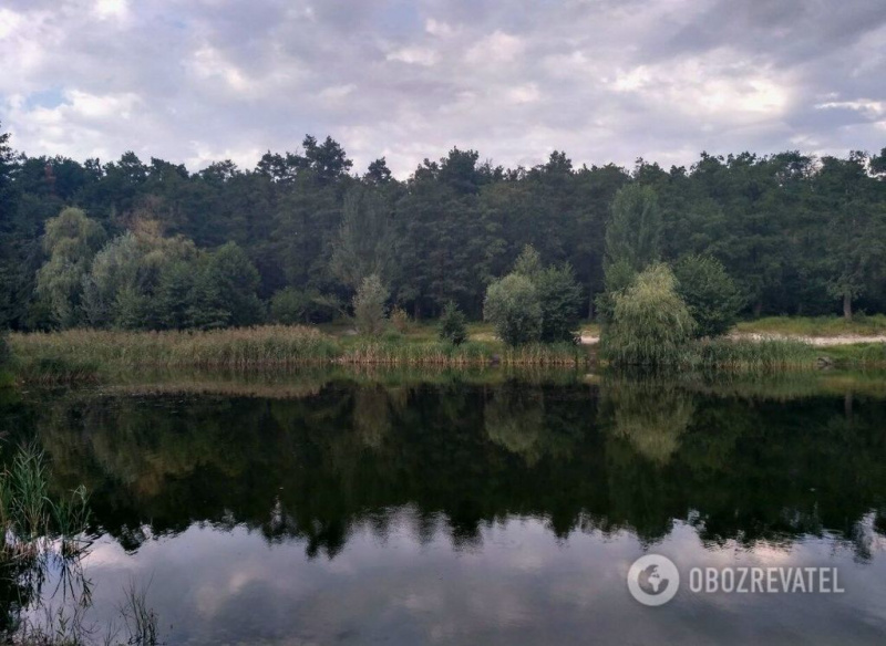 Найдено несколько женских тел: жители Киева предполагают, что в городе орудует маньяк