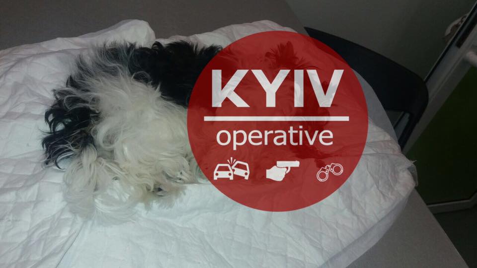 В Киеве известный бизнесмен устроил кровавую бойню на глазах собственных детей (фото)