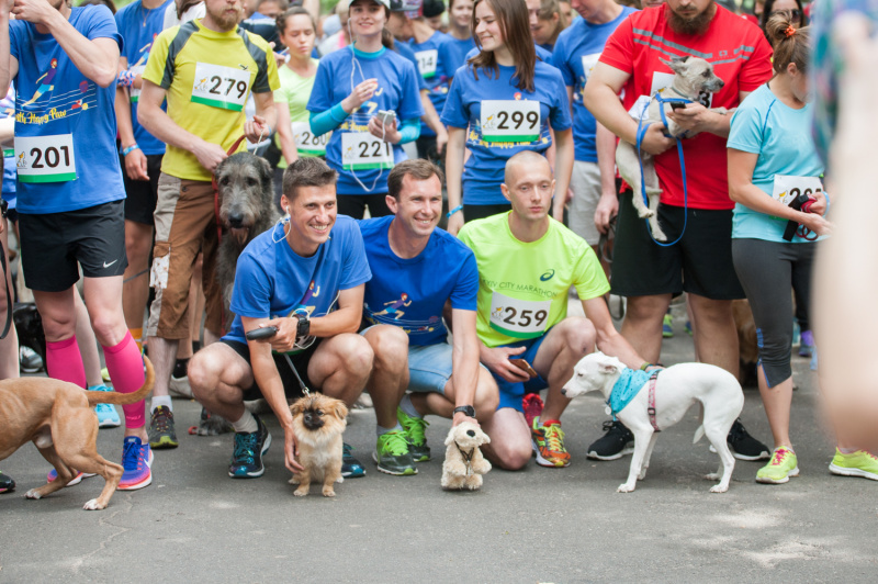 В Киеве установят рекорд самого массового забега с собаками