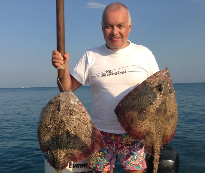 Украинские журналисты разыграли пропагандиста Киселева