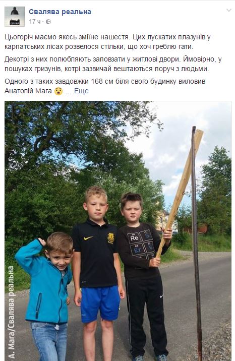 У Закарпатській області величезна змія налякала дітей