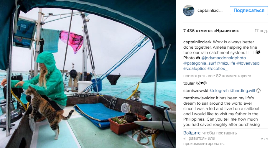 Кішка стала зіркою Instagram завдяки морським подорожам