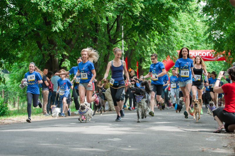 В Киеве установят рекорд самого массового забега с собаками