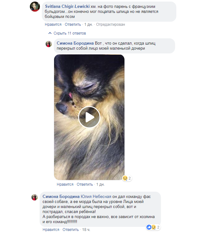 У Києві конфлікт з-за собак переріс у погрози кривавої розправи (відео)