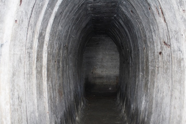 Силами любителів історії ДОТ розчистили і зробили безпечніше