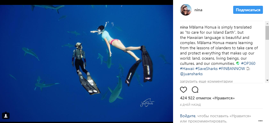 Звезда &quot;Дневников вампира&quot; плавает с акулами на Гавайях