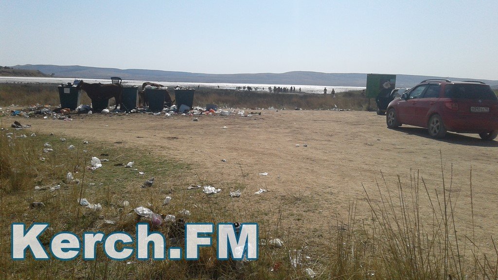 У Криму окупанти перетворили популярний лікувальний курорт в стихійне звалище