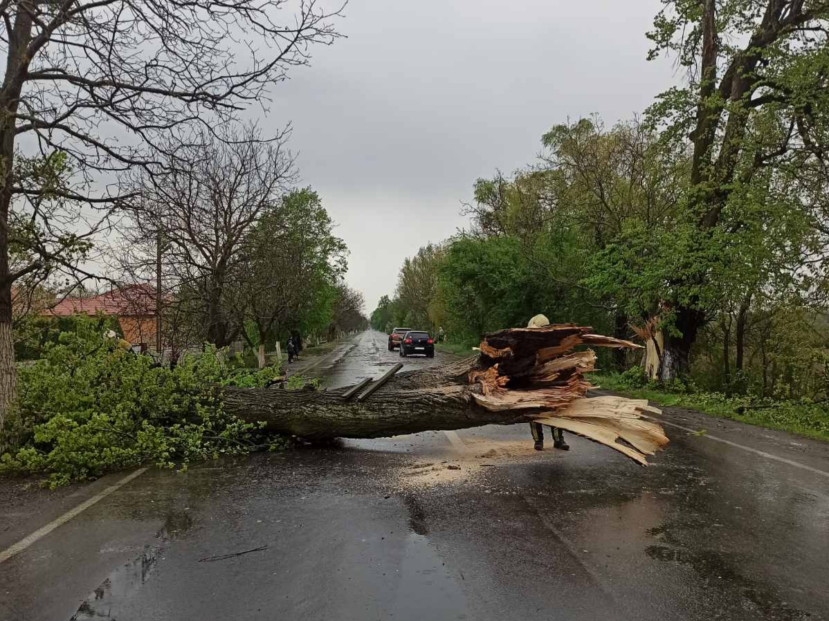 Буревій на Закарпатті зривав дахи і залишив без світла цілі міста: фото і відео руйнувань