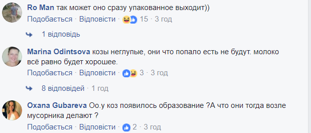 В киевских мусорках начали пастись козы