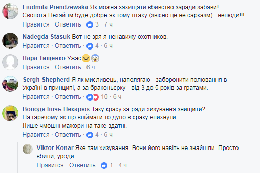 "Просто так, ради забавы": в Одесской области браконьеры застрелили краснокнижного сокола (фото)