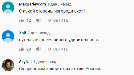 Скотський патріотизм: в Росії корів одягли у форму солдатів Червоної армії (відео)