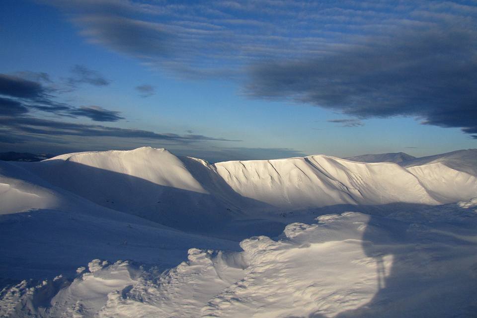 У мережі показали "шалені" краєвиди засніжених Карпат (фото)