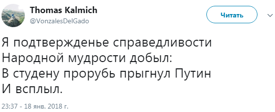 &quot;Водохресного дива не сталося&quot;: соцмережу насмішили купання Путіна в ополонці