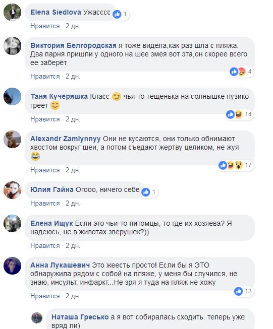 "Ужас": в Киеве на пляже отдыхали питоны (фото)