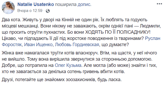 "Псують полисадник": в Одесі жінка намагається отруїти котів, які їй "заважають"