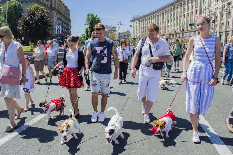У Києві пройшов парад собак породи джек-рассел-тер'єр (фото)
