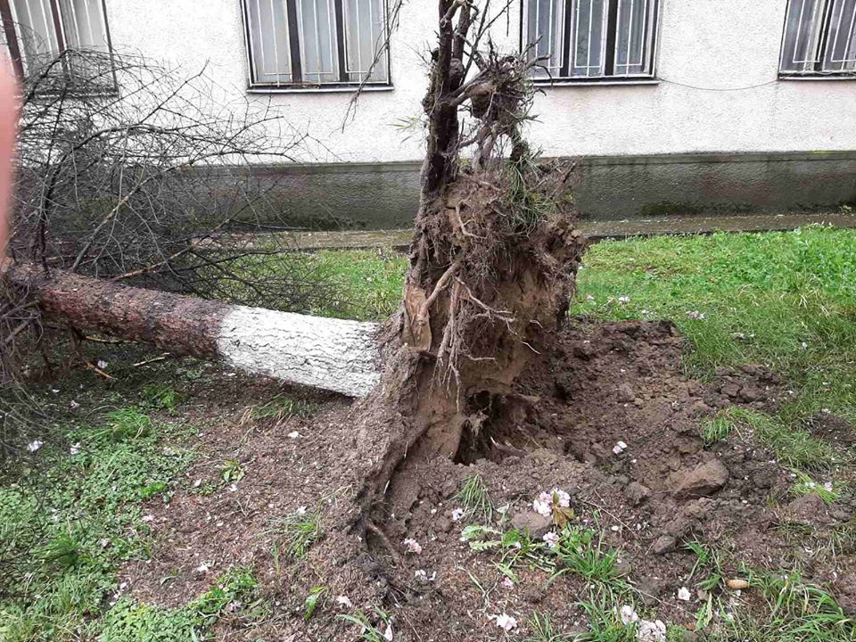 Буревій на Закарпатті зривав дахи і залишив без світла цілі міста: фото і відео руйнувань