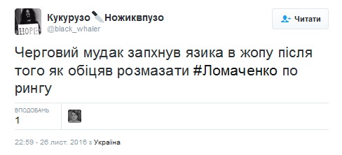 "Будущий король ринга": соцсети в восторге от победы Ломаченко