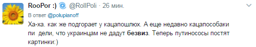 Соцмережі відреагували на рішення Ради ЄС за безвізу для України