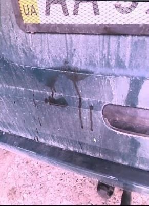 "Схоже на дуже жорстоку кару": екс-нардеп показав фото з місця вбивства сина