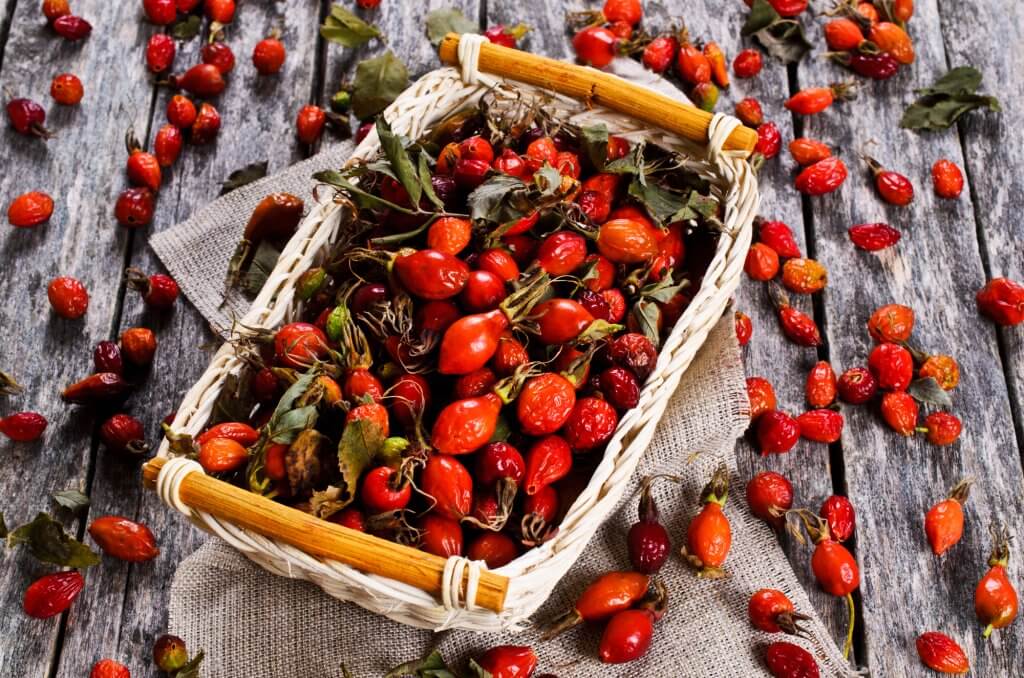 1 жовтня: яке сьогодні свято і що категорично не можна робити