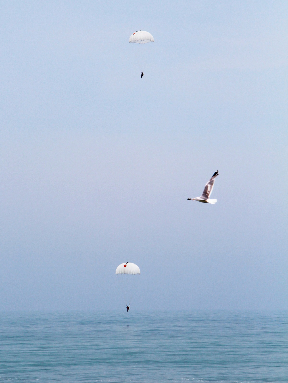 Появились потрясающие кадры прыжков с парашютом на воду курсантов в Одессе