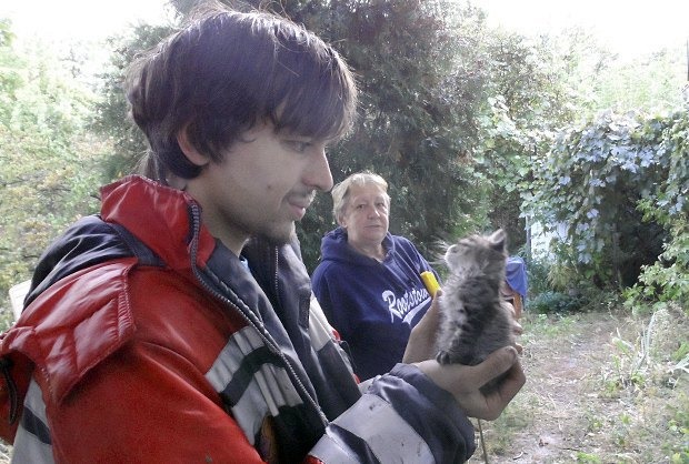 Центр спасения животных: уникальная команда просит о помощи