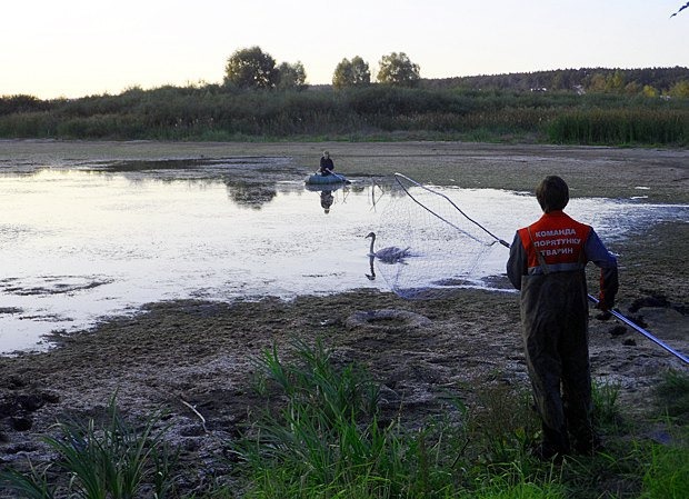 Центр спасения животных: уникальная команда просит о помощи