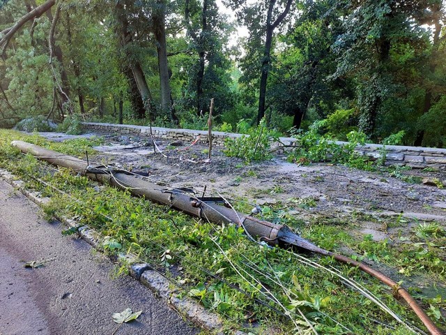 У Кам'янець-Подільському пронісся ураган: зносив дахи і валив дерева (фото)