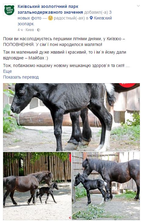 В Киевском зоопарке родился черный Майбах