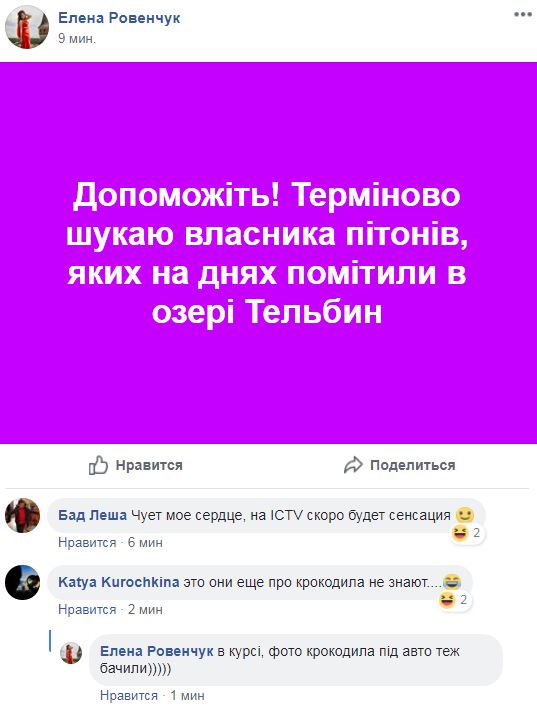 "Ужас": в Киеве на пляже отдыхали питоны (фото)
