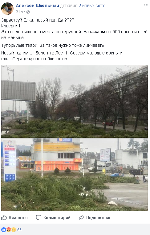 &quot;За такое нужно линчевать&quot;: в сети показали столичное &quot;кладбище&quot; елей и сосен