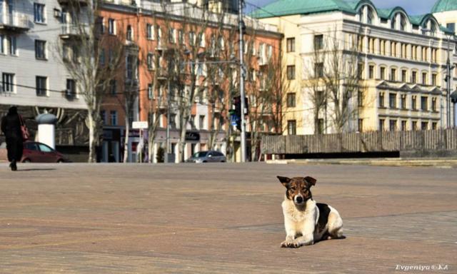 "Город притих": в сети показали свежие фото оккупированного Донецка