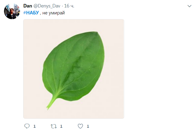 Обшуки в Мін'юсті: бурхлива реакція соцмереж