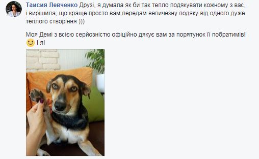 Вибухи під Вінницею: Тваринам, які залишилися в епіцентрі, зібрали чималу суму