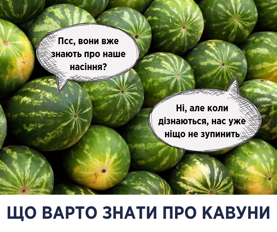Справа не в нітратах: Супрун розповіла всю правду про кавуни