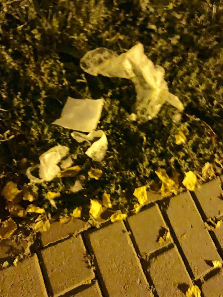 Під будівлею ГПУ в Києві влаштували "гадючник": у мережу потрапили фото