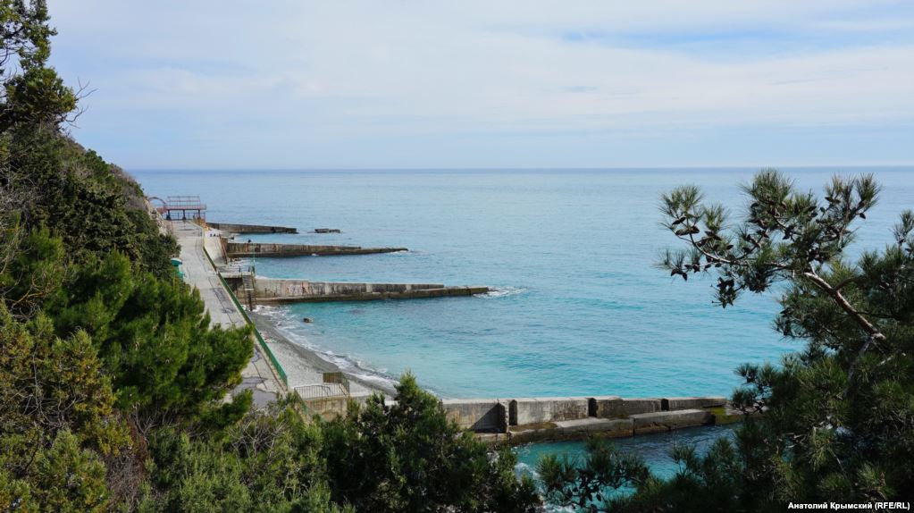 "Алыча в цвету и первые пляжники": в сети показали фотографии весеннего Крыма