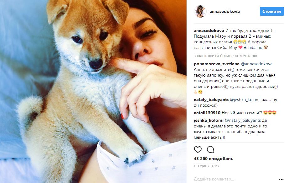 Седокова рассказала о конфузе с новым питомцем