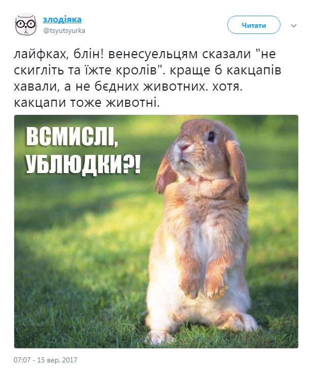 Влада Венесуели порекомендувала людям розводити на балконі кроликів, щоб не голодувати