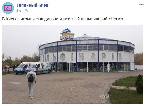 "У меня ванная больше их бассейна": в сети разгораются споры в связи с закрытием дельфинария в Киеве