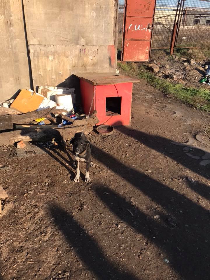 "Никто не обратил внимания на трех детей": семья два года жила на свалке в Одессе (фото)