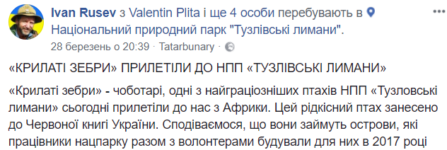 В Одесской области из Африки вернулись "крылатые зебры"