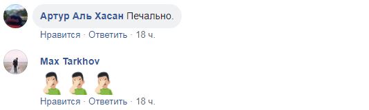 &quot;Моя любимая птица&quot;: киевляне шокированы уничтожением мурала (фото)