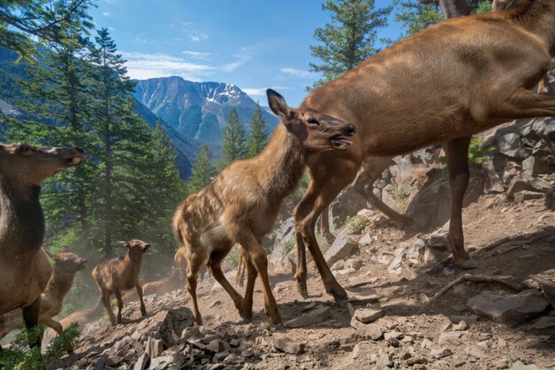 Топ-52 фото 2016 года: National Geographic выбрал лучшие снимки