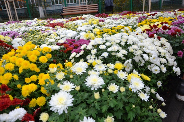 В Киеве на Политехе вместо МАФов и мусора появился новенький сквер