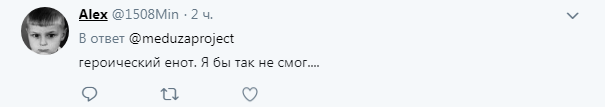 &quot;Я б так не зміг&quot;: мережу вразив єнот, який 20 годин ліз на хмарочос (відео)